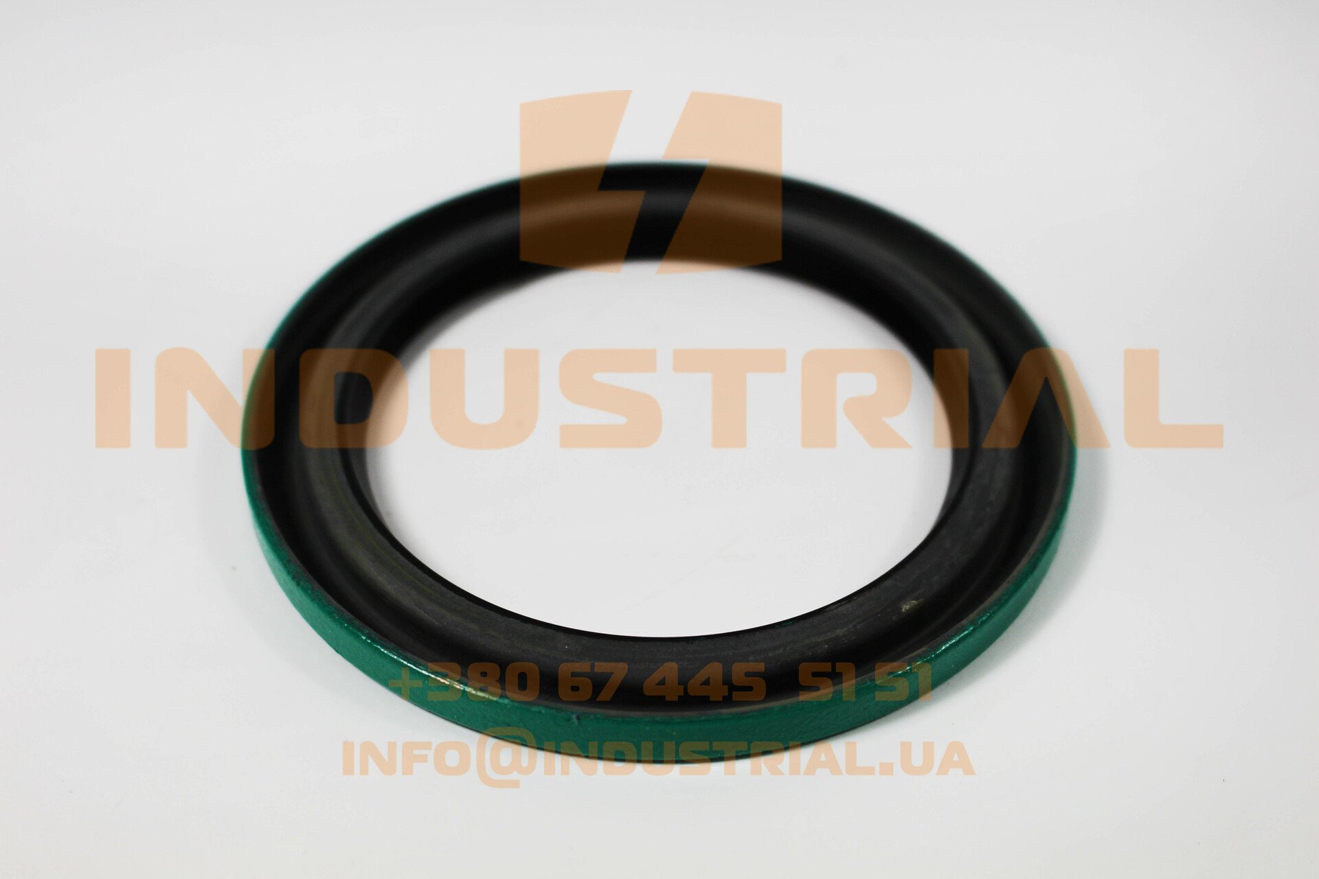 CHG 5231836 CHICAGO RAWHIDE SKF
